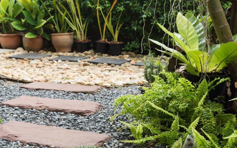 WhatsApp Image 2026-01-13 at 17.39.49